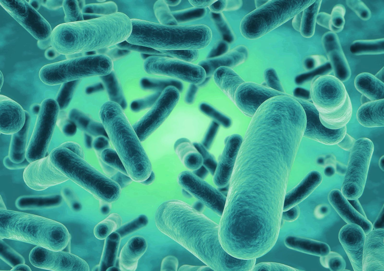 Postbiotic ingredients for private label supplements and microbiome products